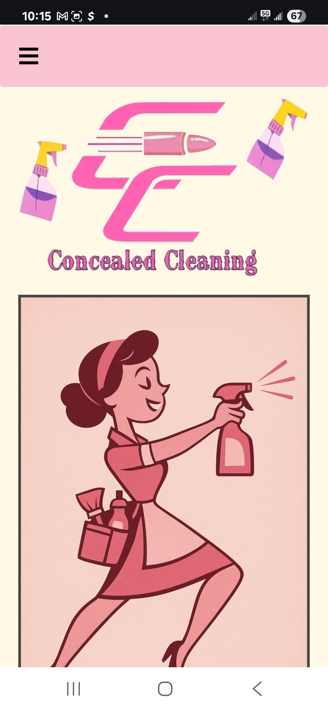 Concealed Cleaning homepage with hero section